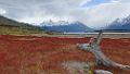 0417-dag-20-102-El Calafate